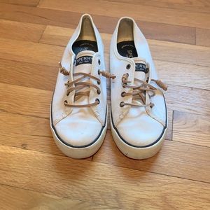 Sperry sneakers